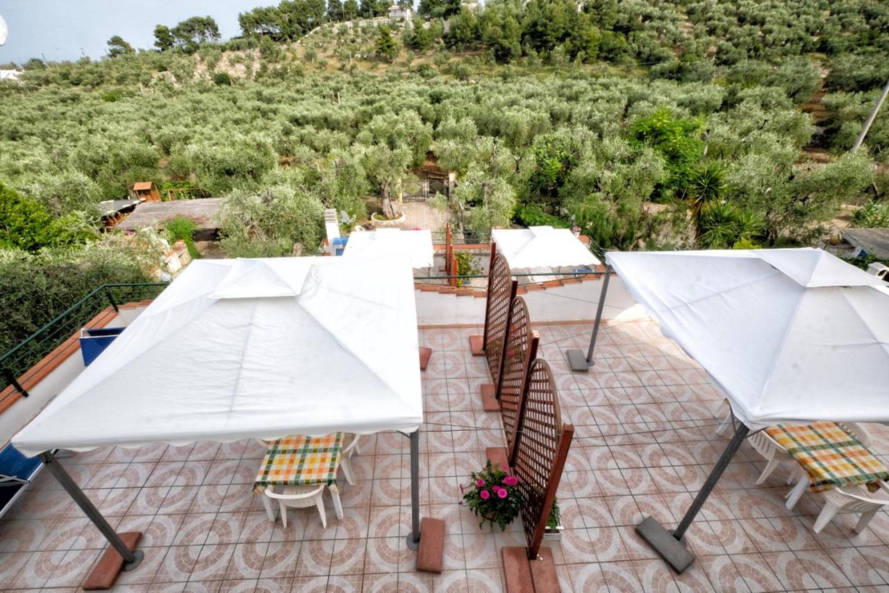 Vila Terra Di Ulivo Vieste Exteriér fotografie