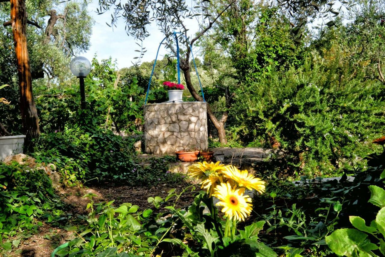 Vila Terra Di Ulivo Vieste Exteriér fotografie