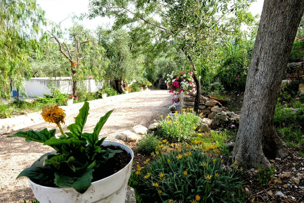 Vila Terra Di Ulivo Vieste Exteriér fotografie